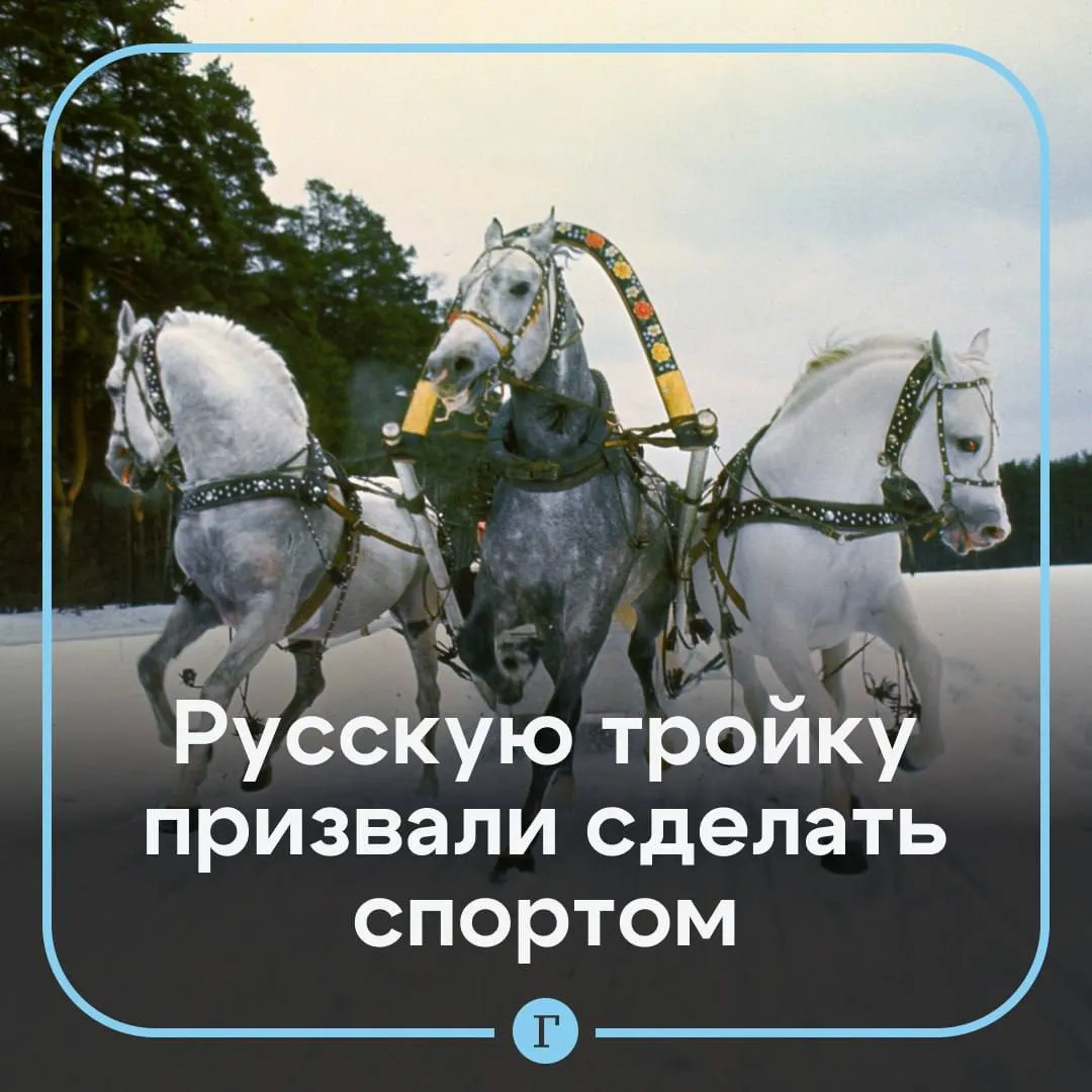 Мединский призвал сделать русскую тройку национальным видом спорта Русская тройка один из национальных брендов Это должен быть настоящий национальный вид спорта потому что тройка лучше чем крикет заявил он По словам политика в отличие от балалайки матрешки и медведя тройка имеет большую связь с реальностью потому что это сугубо российское изобретение  Главной особенностью русской тройки является разноаллюрная упряжка Сейчас на соревнованиях русских троек представлены два основных направления фигурная езда и скоростные забеги Читайте Газету Ru в MAX