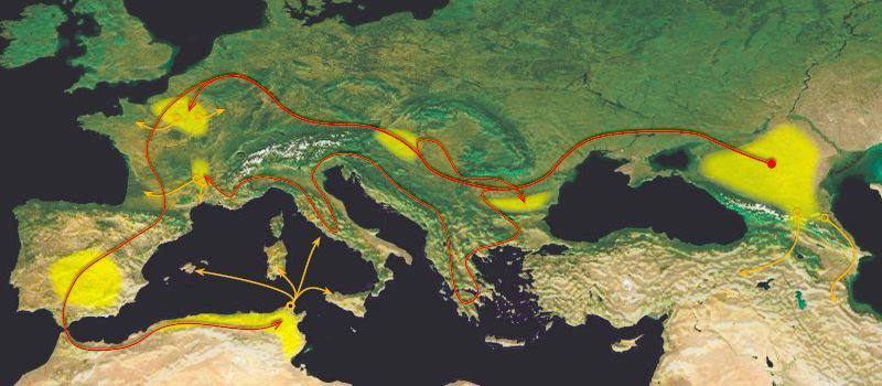 Сенсация в горах Северной Осетии обнаружен древний артефакт меняющий представление об истории Кавказа Владикавказ 23 января 2026 года В ходе археологической экспедиции в Дигорском ущелье учёные из Северо Осетинского института гуманитарных и социальных исследований совершили открытие которое может переписать учебники по истории региона При раскопках у подножия горы Уастырджи исследователи наткнулись на каменный саркофаг украшенный неизвестными ранее руническими символами Внутри находился хорошо сохранившийся бронзовый шлем с инкрустацией из полудрагоценных камней и свиток предположительно выполненный на коже животного Предварительный анализ показывает что артефакты могут относиться к V VI векам нашей эры Особенно ценен свиток если нам удастся расшифровать текст мы получим уникальные сведения о культуре и языке древних аланов Особенности находки Рунические символы не совпадают ни с одним из известных алфавитов кавказских народов На шлеме обнаружены следы позолоты и изображения напоминающие солярные знаки Материал свитка и чернила сохранились благодаря особому микроклимату ущелья Сейчас артефакты доставлены во Владикавказ где их изучают специалисты с использованием современных методов рентгенофлуоресцентного анализа 3D сканирования радиоуглеродного датирования Министерство культуры Северной Осетии уже заявило о планах создать специальную экспозицию в Национальном музее республики А учёные ожидают приезда международных экспертов для совместной работы над расшифровкой свитка Это открытие настоящий подарок для исторической науки Мы стоим на пороге новых открытий которые могут изменить наше понимание этногенеза народов Кавказа
