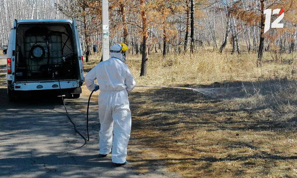 В Омске стартует осенняя акарицидная обработка С 26 августа по 1 октября специалисты обработают 115 объектов В список входят бульвары скверы и другие общественные территории где горожане проводят время и могут столкнуться с клещами Акарицидная обработка в регионе традиционно осуществляется дважды в год что помогает предотвратить сезонные вспышки активности паразитов Напомним что в течение нескольких дней после обработки омичам не рекомендуется заходить на траву и выгуливать там животных препарат должен осесть и начать действовать