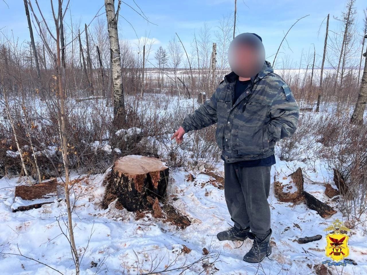 «Чёрные» лесорубы спили деревьев на 1 млн рублей в заказнике в Забайкалье.  Уголовное дело возбуждено в отношении троих жителей Читинского района, которые спилили 14 лиственниц в заказнике около посёлка Ягодный и продали их на дрова. Ущерб от их действий составил около 1 млн рублей. Об этом 19 февраля Lenta75.ru сообщили в пресс-службе УМВД России по Забайкальскому краю.    - Подозреваемые без разрешительных документов спилили 14 лиственниц и продали их на дрова местному жителю, - уточнили в ведомстве.   В ходе обыска полицейские изъяли у одного из фигурантов бензопилу и автомобиль «ГАЗ-53», на котором перевозился спиленный лес. Злоумышленникам назначена подписка о невыезде.