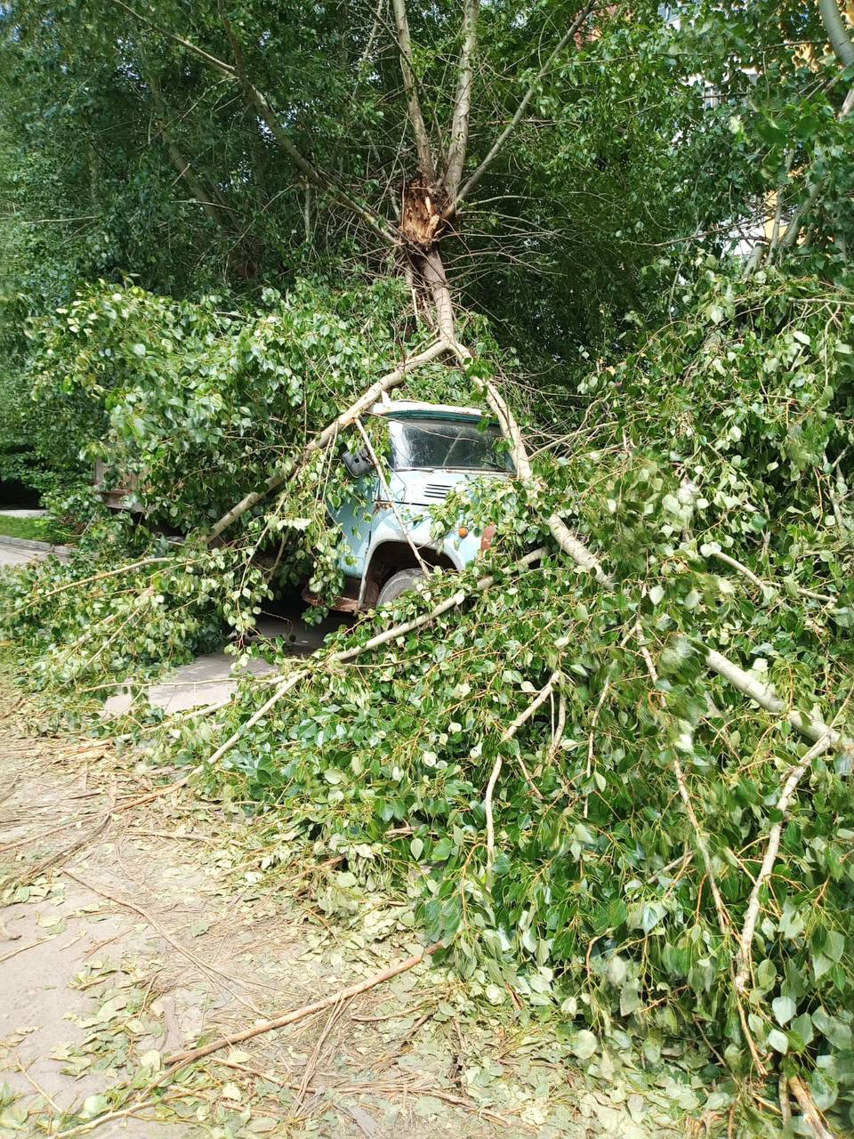 В Кировском районе убирают упавшие ветки деревьев и откачивают воду в местах подтоплений Рабочие уже убрали и распилили упавшие ветки деревьев на улицах Урманова, XX Партсъезда, Аникина – возле парка «Бугринская роща». Возле детского сада на ул. Комсомольской, 17 распилена и подготовлена для вывоза упавшая берёза. Также продолжаются работы на ул. Пригородной, где берёза упала на тротуар. Рабочие МКУ «Кировское» чистят водопропускные канавы и дождеприёмные решётки. Дорожно-коммунальная техника ведёт работу на участках дорог. В ночь на 18 июля откачали более 200 м3 воды в местах постоянного подтопления – на ул. Петухова, 12/1, Северном проезде, ул. Петухова, 71, ул. Зорге, 18. Все работы контролирует отдел благоустройства, озеленения и транспорта районной администрации. Всего после стихии в ЕДДС от жителей поступило 12 обращений по Кировскому району.