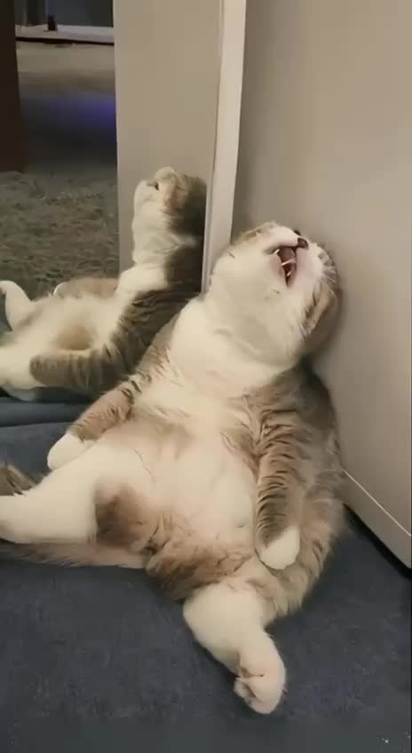 В России не будет шестидневных рабочих недель в 2026 году