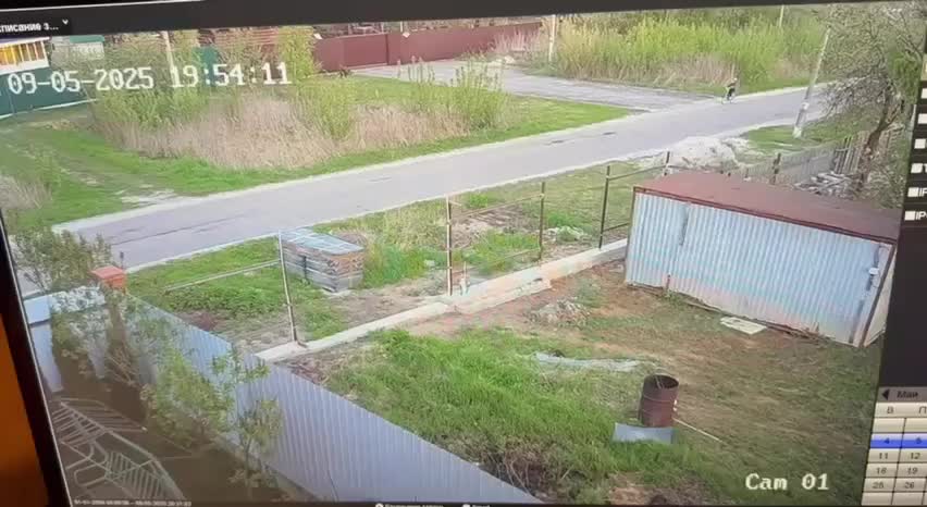 В Шатуре алабай напал на ребенка, но очевидцы предотвратили трагедию
