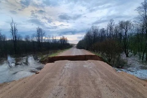 В Архангельской области дороги не дождались весеннего паводка и начали рассыпаться заранее Как сообщают в администрации Онежского округа на 69 км автодороги Архангельск Онега в месте расположения водопропускной трубы произошел размыв дорожного полотна Глубина провала 4 м проезд невозможен Естественно все ведомства отправились к месту происшествия как будто это позволит решить проблему ранее чем будет подогнана техника Одновременно бьют тревогу родители чьи дети в связи с оптимизацией вынуждены ходить в школу в п Поньга Так вот они будут вынуждены именно что ходить через лес с волками т к по упорно распространяемым слухам денег на подвоз нет кончились Хочется верить что вторая проблема окажется нелепыми слухами или деньги к понедельнику найдутся Иначе будет скандал