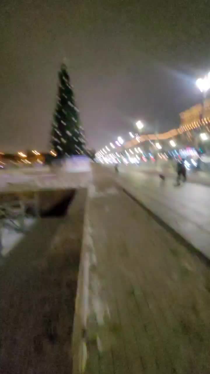 Два петербуржца забрались на ёлку на Московском проспекте