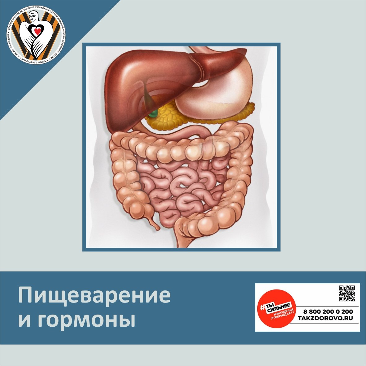 В Кузбассе проходит неделя профилактики эндокринных заболеваний. Зачастую причины проблем с пищеварением связывают с гастроэнтерологией, однако они также могут быть связаны с гормональными нарушениями. Вы можете заметить изменения в аппетите, постоянное чувство голода или, наоборот, его отсутствие. Нарушения в работе кишечника, такие как запоры или диарея, также могут свидетельствовать о гормональном дисбалансе. Недостаток гормонов щитовидной железы гипотиреоз приводит к замедлению опорожнения желудка и прохождения пищи по кишечнику. Также снижается амплитуда сокращений толстой кишки. И наоборот, избыток этих гормонов гипертериоз приводит к усилению моторики кишечника. А мы напоминаем: в консультативно-диагностической поликлинике ГАУЗ "Кузбасский клинический госпиталь для ветеранов войн" ежедневно ведет прием врач-эндокринолог Зарова Мария Владимировна. Запись по телефону 8 3842 58-26-70.