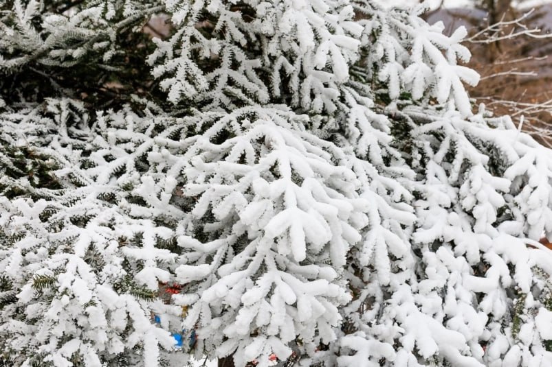 Снег и до 32 градусов прогноз погоды на Сахалине и Курилах на 27 декабря В северных и центральных районах Сахалина местами небольшой снег Температура днем от 17 С до 22 С На юге острова небольшой снег Температура днем от 10 С до 15 С На юге Курильских островов небольшой и умеренный снег Температура от 2 С до 7 С на сутки На севере днем осадки Температура от 0 С до 5 С на сутки В Южно Сахалинске временами небольшой снег Температура днем от 10 С до 12 С   ПОДРОБНЫЙ ПРОГНОЗ   SakhalinMedia Прислать новость