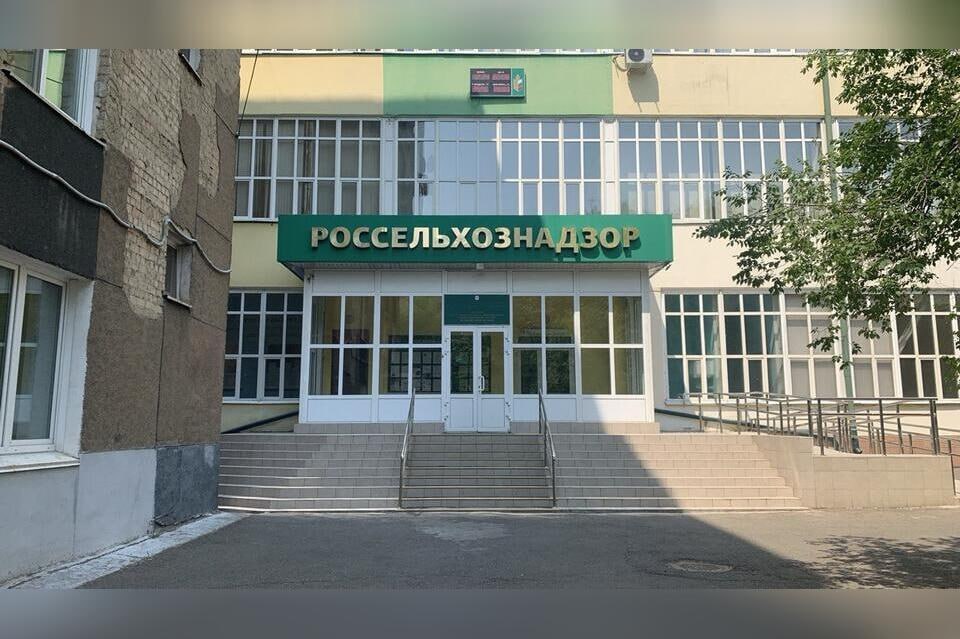 Сорняк захватывает земли Забайкалья Россельхознадзор расширил карантинную зону по паслёну трёхцветковому в Читинском районе По итогам мониторинга 2025 года новые очаги сорняка выявлены на 78 га а общая площадь карантинной зоны теперь составляет 949 гектаров В зоне введён карантинный фитосанитарный режим необходимо локализовать и уничтожать сорняк не допускать его распространения контролировать чистоту сельхозпродукции ZAB RU