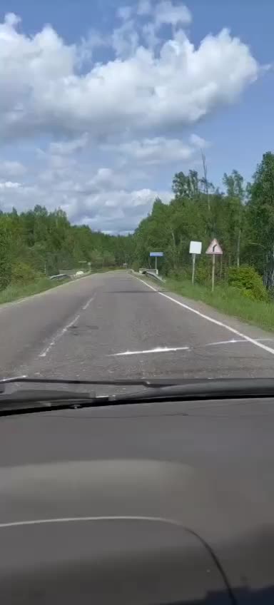 Медведи замечены на дорогах в Комсомольском районе и Братске