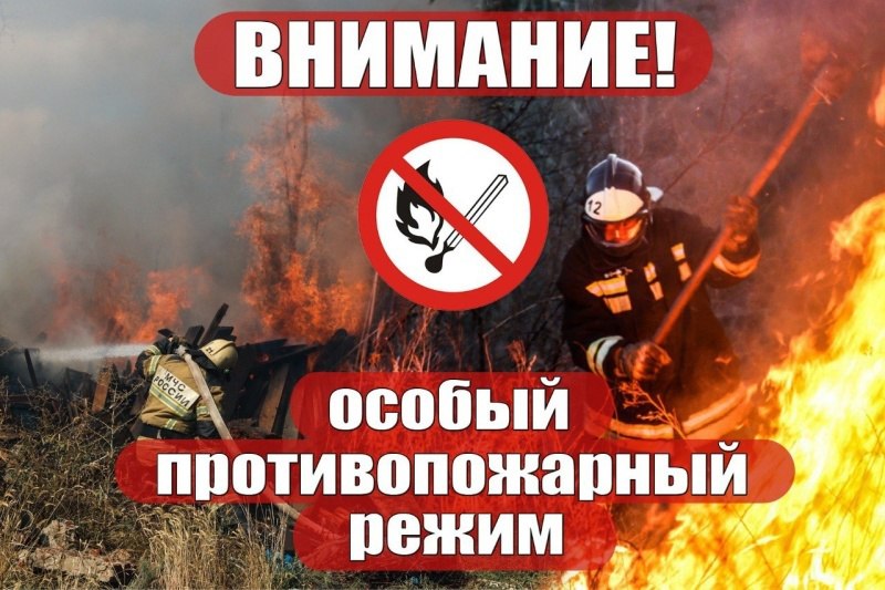 В Волгоградской области введён особый противопожарный режим   Из-за сухой и жаркой погоды, а также усиления ветра риск возникновения пожаров существенно возрос.  Поставлены задачи:   повысить готовность сил и средств.     принять все необходимые меры по предупреждению и тушению пожаров и возгораний, обеспечив безопасность граждан и их имущества.     провести сбор руководителей муниципальных образований и демонстрационные пожарно-тактические учения.