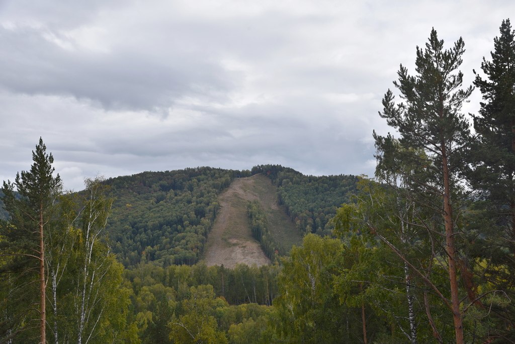Оксана Молодых from АКЗС Депутаты предлагают запретить добычу россыпного золота в шести районах Алтайского края Алтайское краевое Законодательное Собрание собирается обратиться в Федеральное агентство по недропользованию с инициативой о введении на территориях шести районов Алтайского края моратория на выдачу лицензий на разведку и добычу россыпного золота Проект обращения краевого парламента в Роснедра вошел в проект повестки сессии АКЗС 27 ноября Документ разработан комитетами краевого парламента по аграрной политике природопользованию и экологии и по промышленности предпринимательству и туризму на основе обращений жителей и материалов экспертизы Счетной палаты Алтайского края Он призван обратить внимание руководства федерального агентства на ущерб который золотодобыча открытым способом наносит подробнее на канале Оксана Молодых