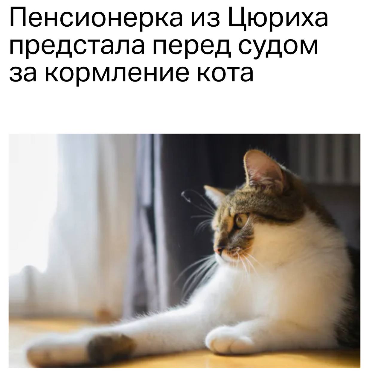 В Швейцарии пенсионерка оказалась под судом из-за постоянного подкармливания соседского кота. Женщина регулярно угощала кота по имени Лео, который привык к её гостеприимству и практически перестал возвращаться к своим хозяевам. Более того, она даже изменила конструкцию своей двери, чтобы Лео мог свободно входить и выходить. Настоящая хозяйка животного не оставила это без внимания и обратилась в правоохранительные органы. Пенсионерке был назначен штраф в размере 3 600 швейцарских франков примерно 352 тысячи рублей и дополнительно взыскали 800 франков около 78 тысяч рублей . Женщина не согласилась с таким решением, и дело было передано в суд. «Согласно законам Швейцарии, кошки признаются личной собственностью. Постоянное кормление чужого животного у себя дома может восприниматься как незаконное присвоение имущества» Кто бы мог подумать, что питомцы способны на измену?
