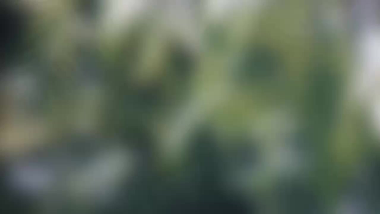 Губернатор Приморья Олег Кожемяко анонсировал Прямой разговор с жителями 29 января