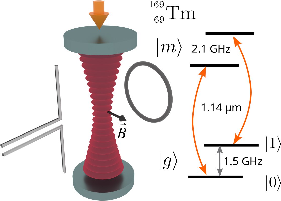 Российские ФИАН и РКЦ выявили новый тип атомов для создания квантовых компьютеров с долговременной памятью Главным достижением работы стало удержание стабильного квантового состояния до 55 секунд Это одно из лучших значений когда либо продемонстрированных в мире Также мы предложили метод переключения кубитов между основным состоянием и метастабильным с временем жизни 112 миллисекунд Это позволяет защитить квантовую информацию от помех и реализовать ряд протоколов для дополнительного повышения точности квантовых вычислений поделился соавтор исследования директор ФИАН академик Николай Колачевский