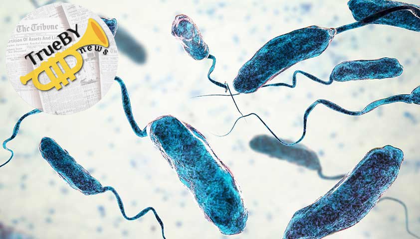 Бактерии Vibrio, которые могут вызвать опасные болезни, в том числе холеру, стали обнаруживать у берегов Турции, пишет Milliyet Телеканал CNN Turk отмечает, что бактерии Vibrio ранее были распространены от Балтийского моря до Северного моря. #Турция #бактерии #Vibrio TrueBY news