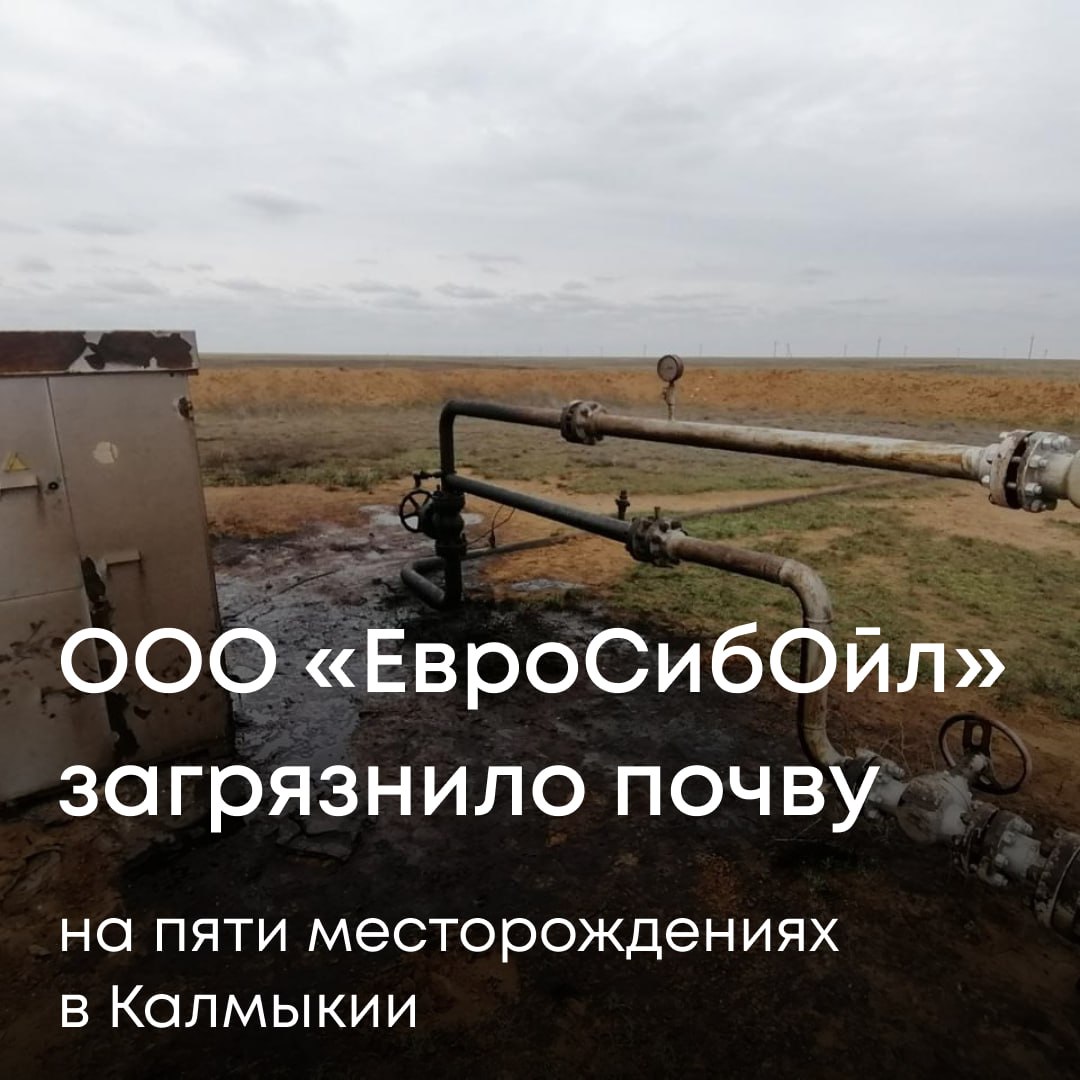 Росприроднадзор проверил работу нефтяной компании ООО ЕвроСибОйл в Республике Калмыкия и обнаружил серьезные нарушения природоохранного законодательства Специалисты Службы выехали на производственные площадки компании Они осмотрели земельные участки провели измерения и взяли пробы почвы для анализа Результаты показали что содержание загрязняющих веществ превышает допустимые нормы Загрязнение обнаружили сразу на пяти месторождениях Курганном Майли Харанском Надеждинском Северо Камышанском и Тенгутинском Площадь загрязненных земель составила 500 м² Экологический ущерб превысил 3 2 млн рублей Компанию оштрафовали и обязали устранить нарушения Росприроднадзор также направил требование добровольно возместить причиненный вред Если ООО ЕвроСибОйл не компенсирует ущерб в установленные сроки ведомство направит иск в суд Подписывайтесь на канал Росприроднадзора в МАХ
