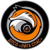 ДПСО Лига Спас