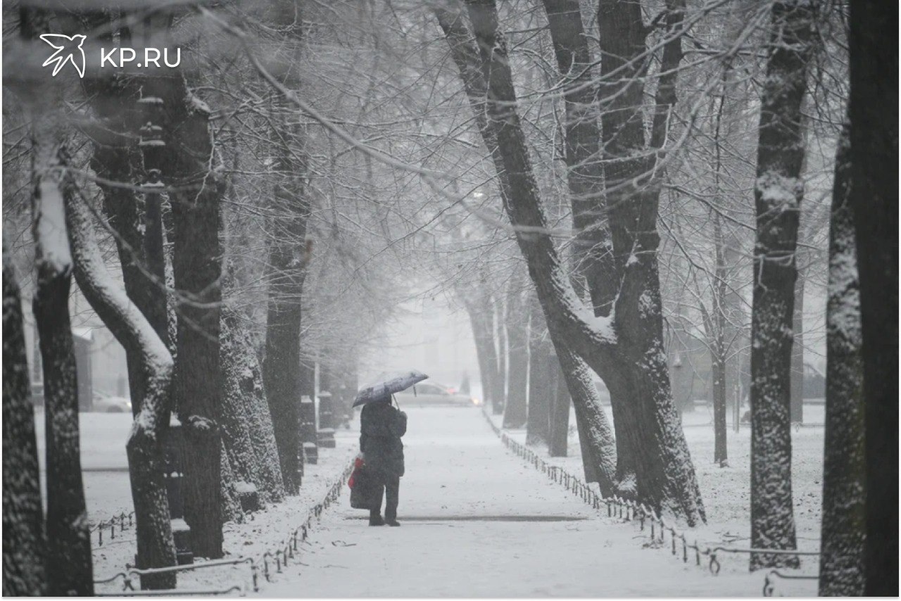 В Воронеже из за снегопада 30 января закрыли каток на Адмиралтейской площади В Воронеже из за обильного снегопада 30 января изменился график работы катка на Адмиралтейской площади Все сеансы вечерние были отменены Об этом сообщили в социальных сетях места отдыха и предупредили в мэрии Там пояснили что из за продолжающегося снегопада техника для заливки льда не может быть допущена на площадку О возобновлении работы катка организаторы пообещали сообщить дополнительно
