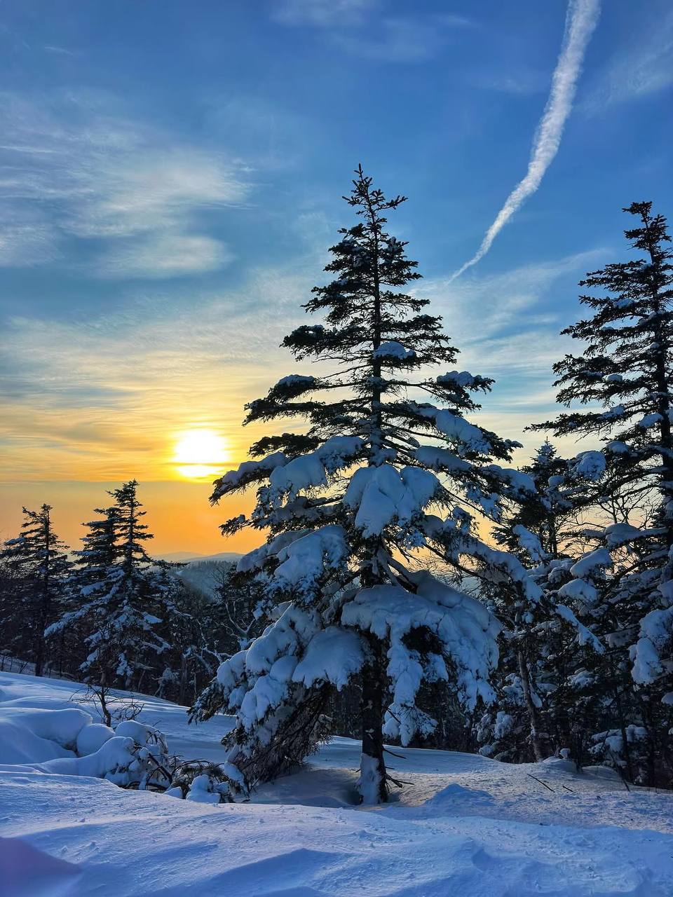 Морозы во Владивостоке будут только крепчать и сохранятся до конца января После прохождения активного циклона с сильными снегопадами 10 января в Приморский край непрерывно поступает арктический холод который не успевает прогреваться даже за счёт относительно тёплого моря Морозы могут усилятся и по всей вероятности сохранятся как минимум до конца января При этом серьёзных снегопадов не прогнозируется но пульсирующий ветер будет усиливать ощущение холода