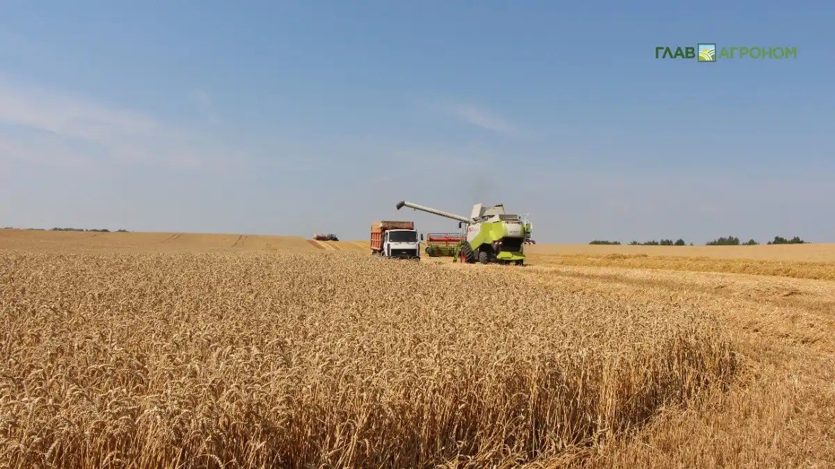 Воронежскую зерновую компанию признали банкротом из за крупного долга   Арбитражный суд Воронежской области признал банкротом компанию по хранению и складированию зерна Элеватор Коммодити Колодезное принадлежащую предпринимателю Олегу Мамедову Решение принято по упрощенной процедуре ликвидируемого должника из за долгов Подробнее читайте