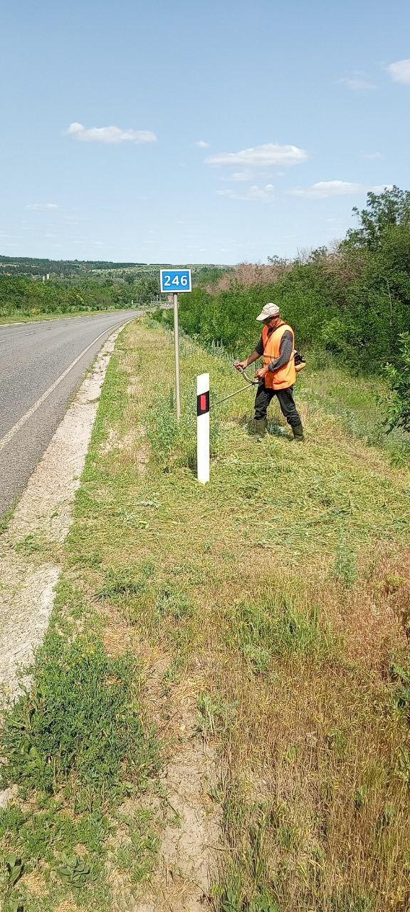 ООО «ПроектСтрой» выполнил работ по покосу травы на обочинах вдоль автодорог     Специалисты ООО «ПроектСтрой» выполнили работы по покосу травы на обочинах вдоль автодороги регионального значения 43А-07 Сватово – Старобельск – Беловодск - Меловое. Работы проводились ручным способом, что позволило обеспечить более качественный и бережный уход за придорожной территорией.     В современном мире, где механизация проникает во все сферы, может возникнуть вопрос: почему для покоса травы был выбран ручной труд?   Ответ прост: в определенных ситуациях ручной покос имеет ряд значительных преимуществ.   Этот метод позволяет более тщательно обрабатывать труднодоступные участки, где техника может не справиться, избегая повреждения дорожных знаков, ограждений и других объектов инфраструктуры, расположенных вдоль дороги.   Кроме того, ручной покос снижает риск выброса камней и других предметов на проезжую часть.    Ожидается, что своевременный покос травы не только улучшит эстетический вид, но и повысит безопасность дорожного движения, снизив риск возникновения аварийных ситуаций.