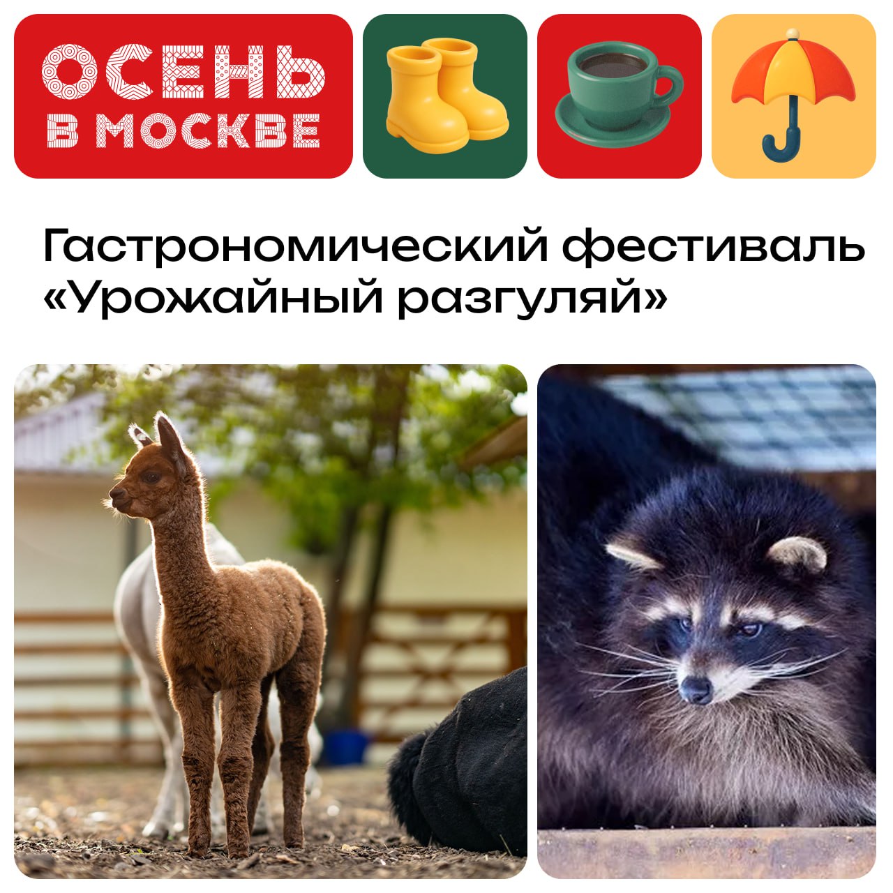 Гастрономический фестиваль Урожайный разгуляй пройдет на ВДНХ Ты сможешь попробовать сезонные угощения погладить и покормить животных а также принять участие в увлекательных мастер классах и квесте Все гости получат приветственные подарки съедобные браслеты 27 и 28 сентября Проспект Мира дом 119 строение 45 Купить билет можно здесь