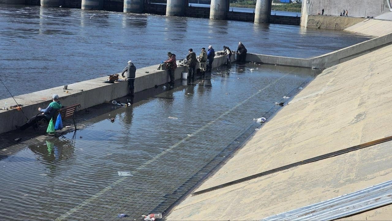 В Кургане возле филармонии подтопило нижний ярус набережной. Почему это произошло   рассказали в администрации города.  — Выход воды на нижний ярус набережной связан с большим количеством осадков, которое вызвало небольшой подъем уровня воды в реке Тобол. Угрозы городу нет. Вода уйдет по мере снижения уровня в реке Тобол, — пояснили в пресс-службе горадминистрации.  Также в мэрии отметили, что последствия подтопления набережной должны устранить.