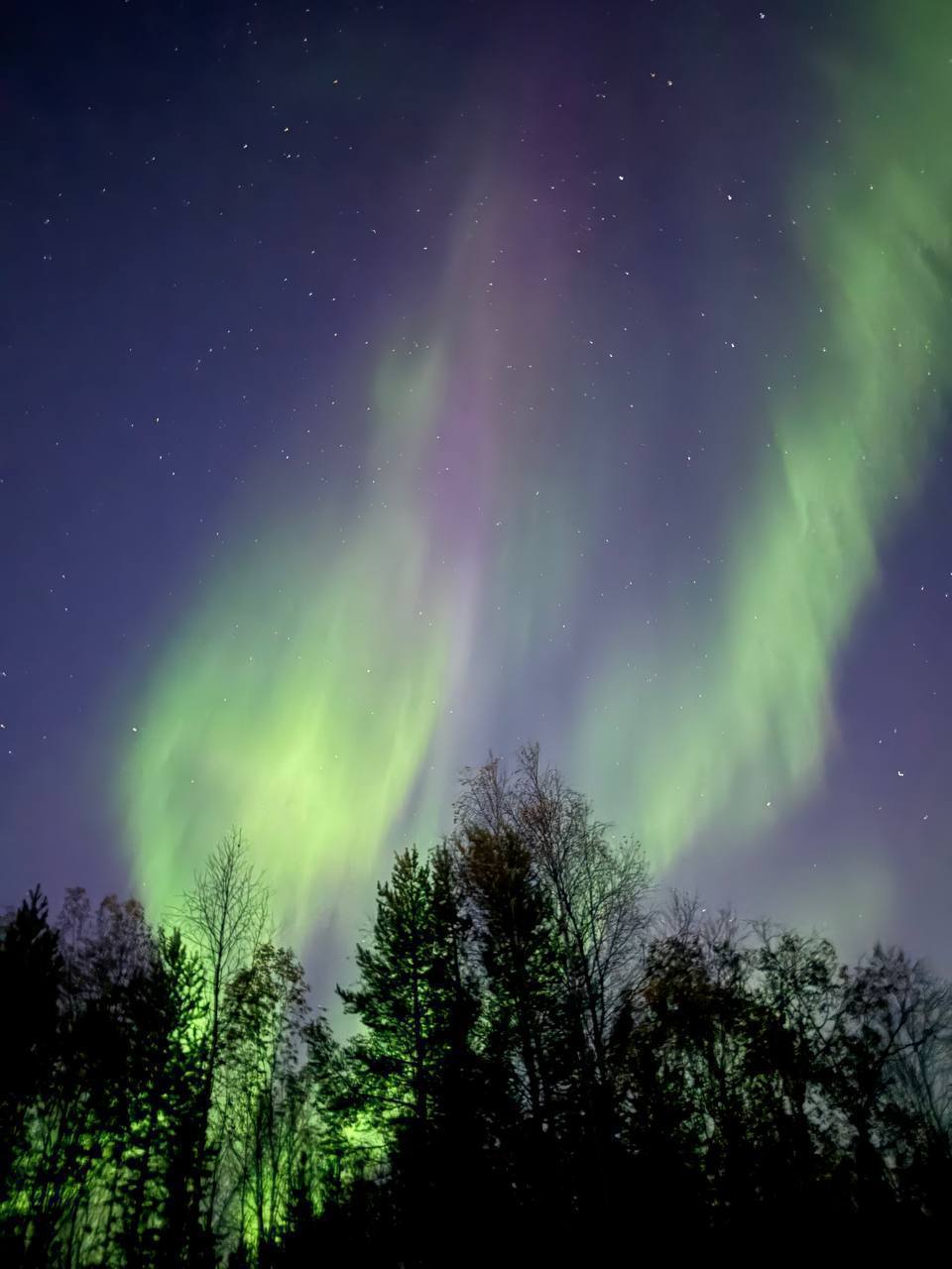 Увидеть Северное сияние смогут жители столичного региона и 6 и 7 ноября По словам экспертов благодаря магнитным бурям явление можно будет заметить этой или следующей ночью Но это не точно Подписаться Прислать новость Чат