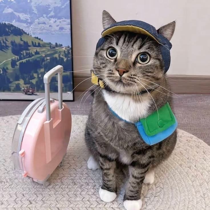 Более 158 млн рублей направят на развитие туризма в Самарской области В регионе планируют продолжать развивать туристическую инфраструктуру в рамках нацпроекта Часть средств направят из федерального бюджета В прошлом году турпоток в нашей области по данным мобильных операторов превысил 3 2 млн человек Повышаем для себя планку рассказал глава области   Подпишись на truekpru63 Мы в MAX