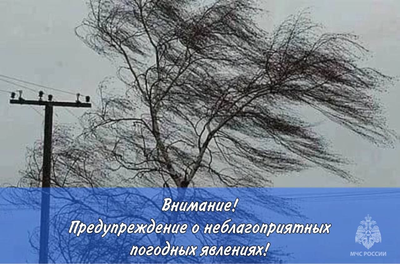 Новгородский гидрометцентр предупредил о сильном ветре  От новгородского центра по гидрометеорологии и мониторингу окружающей среды получено предупреждение о неблагоприятных явлениях погоды.  Утром и днем 30 декабря местами по Новгородской области ожидается усиление юго-западного, западного ветра порывами до 15-18 м/с.