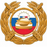 Аватар Телеграм канала: Госавтоинспекция города Хабаровска