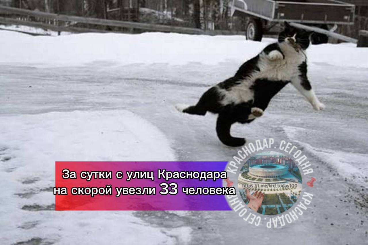 За сутки с улиц Краснодара на скорой увезли 33 человека травмпункты переполнены пострадавшими из за гололёда сообщают СМИ Город сегодня будто перешёл в режим травматологии тротуары стали сплошным катком и удержаться на ногах смогли далеко не все По данным Минздрава за день более 40 экстренных вызова к людям упавшим на улице Среди них двое детей Травмы разные от серьёзных ушибов до сложных переломов И это только те случаи когда без скорой помощи было не обойтись На дорогах обстановка тоже напряжённая Пока пешеходы падали водители сталкивались За утро 130 ДТП Основные причины всё те же лёд летняя резина и несоблюдение дистанции В том числе массовая авария из 20 машин под Горячим Ключом Как у вас прошёл этот скользкий день Есть интересная новость Присылайте нам Краснодар Сегодня канал в MAX ПРИСЛАТЬ НОВОСТЬ
