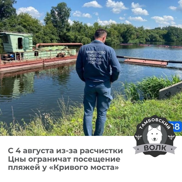 В Тамбове продолжается масштабная расчистка реки Цны на ключевых участках  Работы ведутся на участках: от Рассказовского шоссе до границы города, в районе парков «Дружба» и «Культуры», у «Кривого моста» и в Заречном. 4 августа в зоне расчистки  «Кривой мост»  запретят купание и передвижение на лодках.  Тамбовский волк