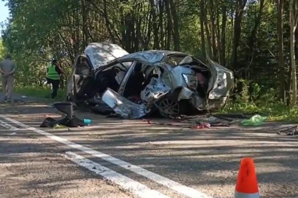 В Краснокамском округе в результате ДТП погиб подросток По предварительной информации, по дороге между населенными пунктами Стряпунята и Ананичи двигался автомобиль «Лада Гранта», за рулем которого находился молодой человек 2001 года рождения. Вдруг водитель потерял контроль над машиной и улетел в кювет. Водитель и еще двое пассажиров получили различные травмы. -Пермь