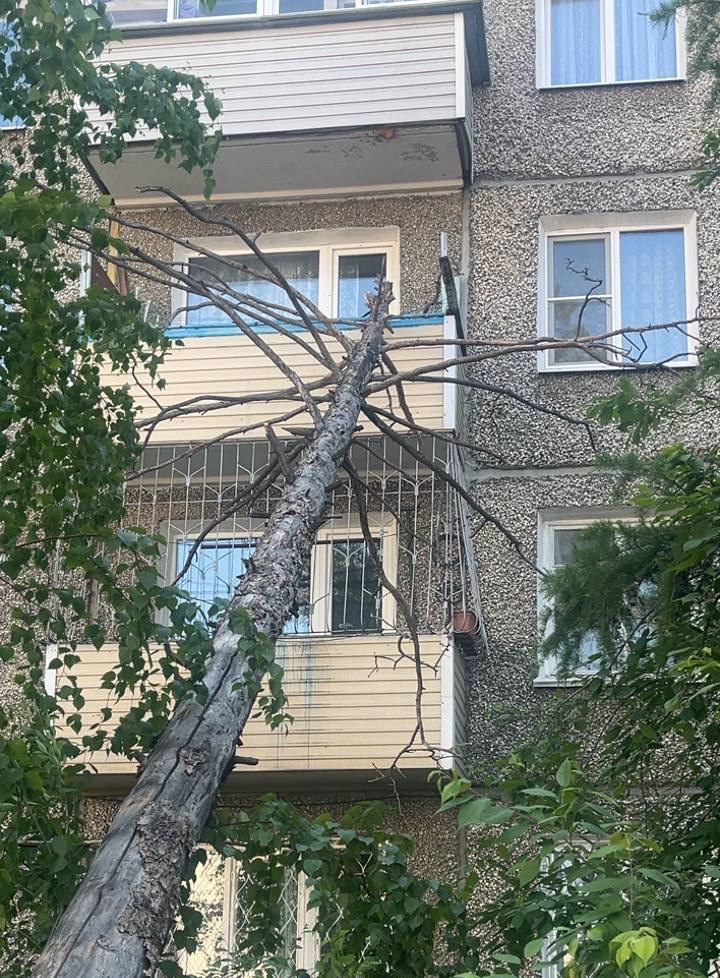 В Улан-Удэ дерево рухнуло на пятиэтажку В Улан-Удэ засохшее дерево рухнуло на пятиэтажный дом. Как сообщили в мэрии города, инцидент произошел 8 июня на улице Жердева, 108. В результате был повреждён стеклопакет на 4-м этаже. #Бурятия Подробности в «Номер один» Сообщить нам свою новость можно по кнопке: Письмо в редакцию