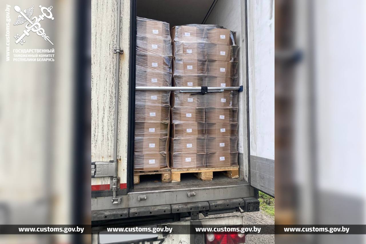 В двух грузовиках намеревались в общей сложности незаконно вывезти в Россию 28 тонн сыра стоимостью более 2,5 млн. бел. рублей. Факты нарушения законодательства установили могилевские таможенники при проведении специальных мероприятий вблизи белорусско-российской границы. В первом случае в грузовом автомобиле VOLVO, принадлежащем российскому перевозчику, без необходимых товаросопроводительных документов и сертификатов, подтверждающих безопасность продукции, перемещали более 19 тонн сыра иностранного производства. Отсутствовали документы на перемещаемую партию и у водителя транспортного средства MAN, принадлежащего белорусскому перевозчику. В нем находилось почти 9 тонн продукции. В отношении перевозчиков Могилевской таможней в соответствии со статьей 13.12 КоАП Республики Беларусь начаты административные процессы. Согласно санкции статьи им грозит штраф в размере до 50% от стоимости предметов административного правонарушения.