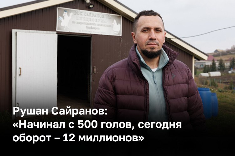 Мы не гонимся за гигантскими фабричными объемами делаем ставку на чистоту продукта и традиционный вкус домашней курицы говорит глава КФХ Рушан Сайранов В 2017 году он перестроил старый сарай под птичник в отчем доме в селе Кушманы а сегодня его хозяйство выращивает 40 тыс голов в год и поставляет продукцию под брендом Tamle Tawyk В 2019 году по программе Начинающий фермер от минсельхоза он получил грант в 1 5 млн рублей на постройку первой фермы на 5 тысяч голов а в 2022 м по программе Агростартап еще один грант на строительство уже второй Годовой оборот хозяйства только по цыплятам составляет около 12 миллионов рублей В планах строительство халяльного убойного цеха и открытие агротуристического центра Чебиләр в 2026 году В интервью Сайранов рассказал об ошибках на старте и о том как создать ферму с умной системой управления Реклама agro tatarstan ru 18