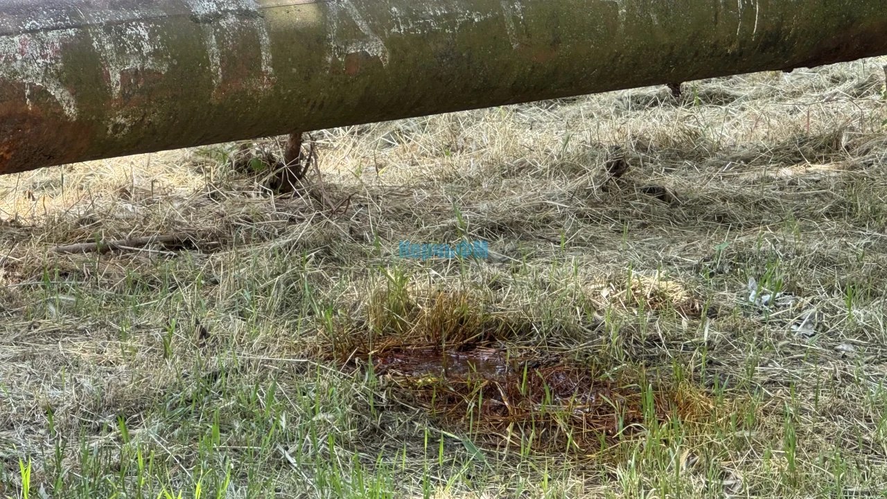 На Заречной труба водовода протекает сразу в нескольких местах В Керчи по улице Заречной, вдоль речки Мелек-Чесме, прорвало трубу водовода. Стоит отметить, что труба протекает сразу в нескольких местах. Расположенные рядом трубы отопления полностью заизолированы и из них утечек нет, - передает КерчьФМ. Напомним, уже не первый раз на этой трубе образовываются дыры. подробнее