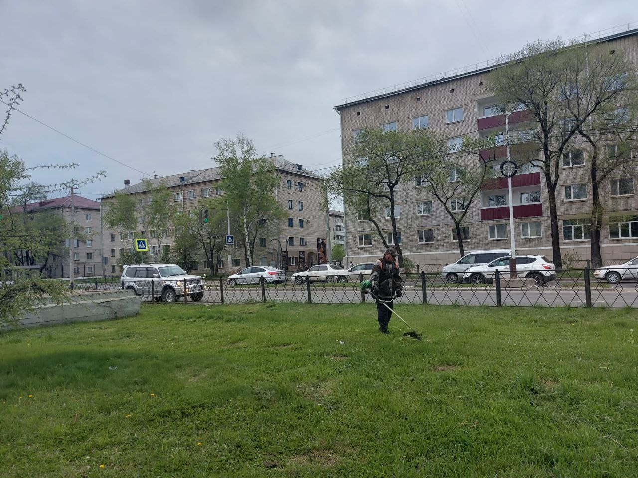 Газоны начали приводить в порядок в Биробиджане В ежедневном режиме в городе идет уборка: дороги и тротуары подметают, убирают случайный мусор с зеленых зон, с остановок. Кроме того, специалисты приступили к покосу травы. Работы начали с центральных улиц города: Пионерской, Шолом-Алейхема, проспекта 60-летия СССР, Ленинградской. Также, будет уделено внимание другим улицам и общественным пространствам. #цветы #биробиджан #мэрбиробиджана #мэриябиробиджана #благоустройство