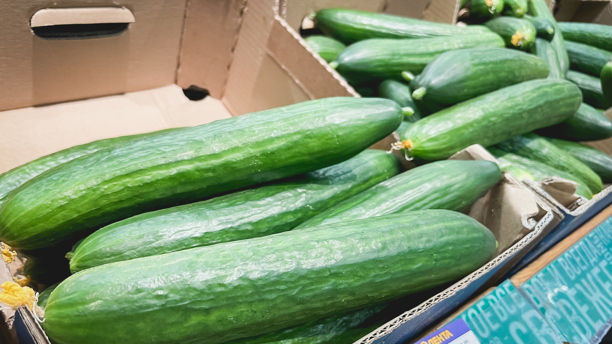 Цены на взлете Пермьстат рассказал что в январе подорожало сильнее всего Официальная статистика подтвердила то что и так заметил каждый поход в магазин в январе опережающими темпами подорожали продовольственные товары и услуги Но главный удар пришелся на здоровое питание овощи подскочили в цене в среднем на 11 8 Абсолютным антирекордсменом стали огурцы которые подорожали на 46 по сравнению с декабрем Помидоры прибавили 18 3 капуста 14 2 морковь 13 9 а картофель 9 2 Большая часть фруктов и цитрусовых также поднялись в цене на 1 8 13 1 Из привычного подорожало практически все мясо птицы выросло на 3 8 хлеб на 1 4 яйца на 1 4 Даже поесть вне дома стало ощутимо накладнее цены в ресторанах и кафе подскочили на 2 8 а ужин в ресторане потяжелел сразу на 8 6 Из хорошего сахар подешевел на 2 4 молочка почти не изменилась а цены на чай и муку даже немного снизились Непродовольственные товары вели себя скромнее подорожали в среднем на 0 7 Топливо тоже не отстает АИ 92 и АИ 95 прибавили 1 6 2 1 зато газ для машин стал доступнее на 1 7 Традиционно с начала года подскочили тарифы капремонт вырос на 5 8 муниципальное жилье на 14 4 детсады на 5 8 Абсолютный рекордсмен среди услуг зарубежный туризм который стал дороже на 11 1 Видимо тех кто смог уехать от пермских снегов статистика тоже догнала Пока пермяки приходили в себя после новогодних каникул цены на борщевой набор решили что праздник только начинается Зато сахар дешевеет чтобы было чем подсластить горечь от цен      Подписаться на Properm ru в MAX