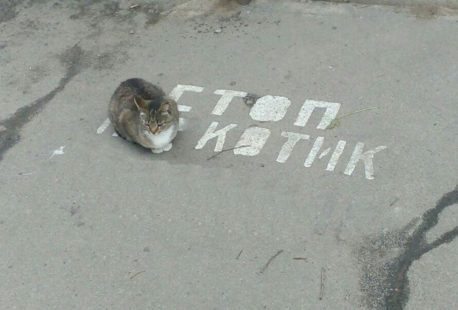 Участок Московского шоссе полностью перекроют на 3 дня С 21 00 3 октября по 6 00 6 октября будет закрыто движение всех видов транспортных средств на участке Московского шоссе перед кольцом на Луначарского ориентир Торговый центр Вертикаль Как рассказали в Минтрансе Самарской области это связано с прокладкой теплосетей ресурсоснабжающей организацией Также изменится схема движения общественного транспорта пояснение нет enter samara