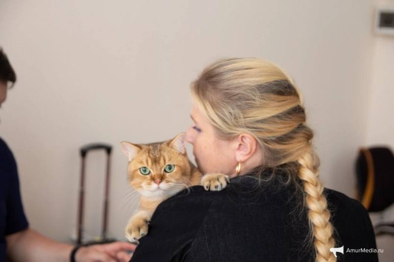 Считаем хвосты готовы ли жители Хабаровского края к регистрации своих питомцев С 1 сентября 2026 года во всех регионах России может заработать обязательная регистрация домашних кошек и собак Эта инициатива которая уже рассматривается в Госдуме призвана упорядочить учет питомцев повысить ответственность их владельцев и сделать систему более регулируемой Но насколько жители готовы к нововведению и как сейчас обстоят дела с регистрацией хвостатых в Хабаровском крае выясняло ИА AmurMedia Подробнее ЧИТАЙТЕ ЗДЕСЬ   AmurMedia Прислать новость