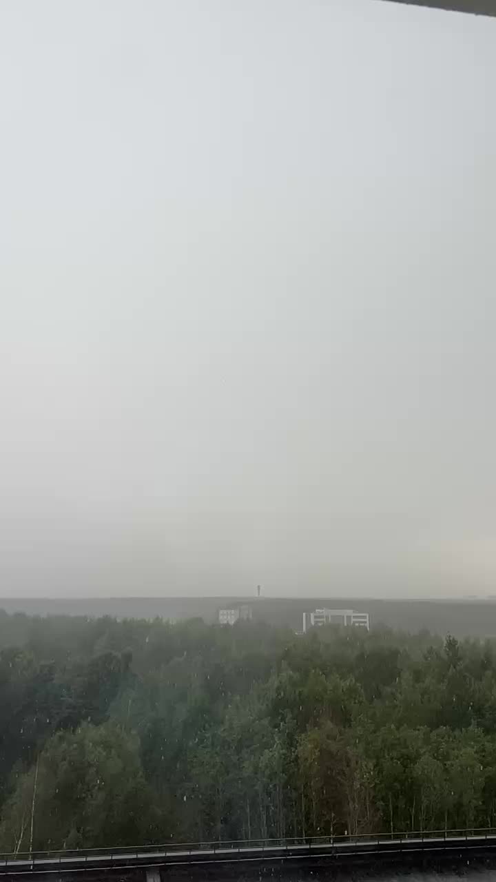 Неподвижные грозы и жара ожидаются в Петербурге и Ленобласти