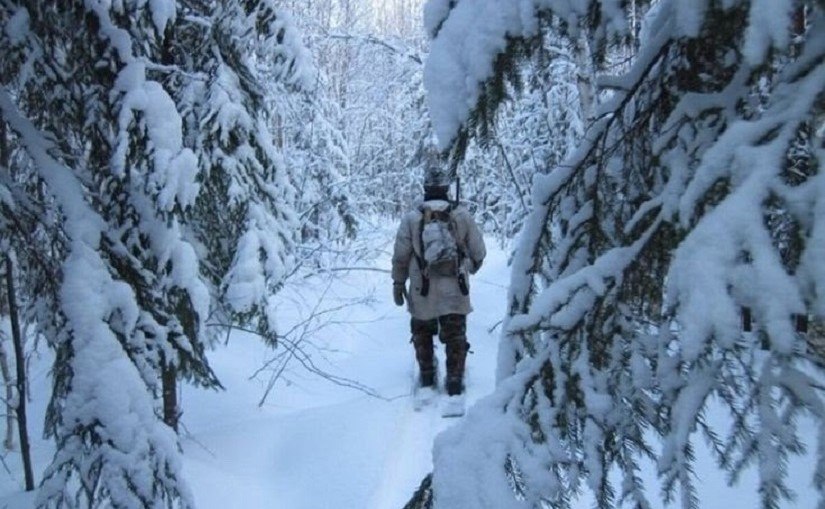 Вместо охотника спасатели нашли только разрушенный домик Поиск продолжается Глава МинЧС Камчатки Сергей Лебедев сообщил ситуация с поиском охотника пропавшего в Быстринском районе осложняется Охотничий домик оказался разрушен возможно медведем Подробности по ссылке kamtime ru article a1445bcd dc4e 4d7f 98bc fd91d2cba76e