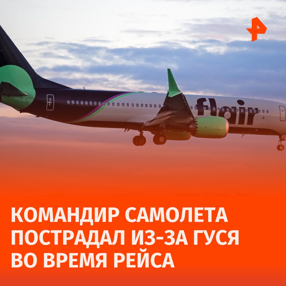 Гусь пробил лобовое стекло летевшего Boeing и травмировал пилота.  Самолет канадской авиакомпании Flair Airlines столкнулся со стаей гусей всего через три минуты после вылета из Торонто. Это привело к повреждению лобового стекла и травмированию пилота. Об этом сообщил портал Simple Flying.  Уточняется, что Boeing 737 MAX 8 должен был отправиться в Виннипег, но после взлета, на высоте около 1200 метров, одна из птиц пробила стекло со стороны капитана.  После инцидента самолет подал сигнал бедствия и вернулся в аэропорт менее чем за 30 минут. Несмотря на то, что лобовое стекло Boeing 737 состоит из трех слоев для увеличения прочности, в данном случае это не помогло.       Отправить новость