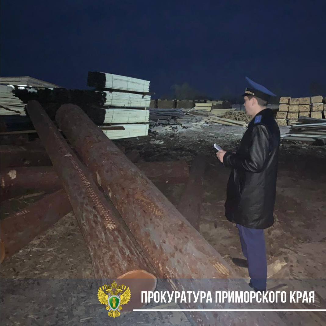  Пилорама, слёзы и суд: в Приморье предпринимателю не удалось оспорить приговор по делу о гибели ребёнка Приморский краевой суд не стал смягчать приговор ИП из Спасска-Дальнего, по вине которого на пилораме погиб 9-летний мальчик. Ребёнка придавило брёвном во время игры на неогороженной территории. Аргументы защиты — о субаренде и заграничной поездке — суд счёл несостоятельными. Предпринимателю оставили срок ограничения свободы — 1 год и 6 месяцев. Мать погибшего рассказала, что семья до сих пор в шоке, а дети переживают трагедию ежедневно. Компенсации в 1,5 млн она отказалась принять и намерена подать новый иск — уже на 5 млн рублей. / Реклама