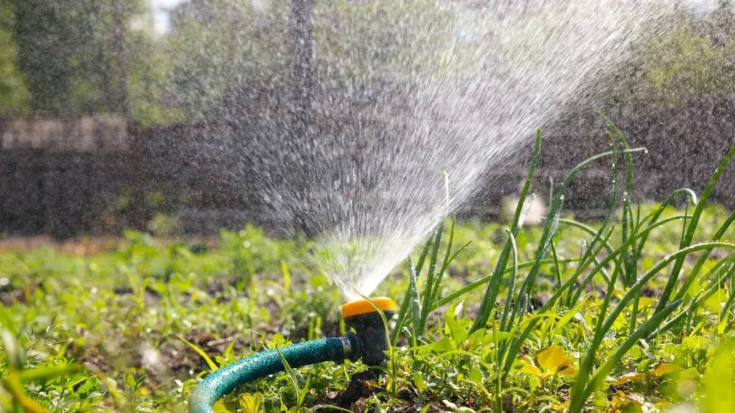 ГУП «Вода Запорожья» просит абонентов сократить потребление воды на полив приусадебных участков  Эта мера позволит сэкономить водные ресурсы, обеспечить достаточный объем холодной воды для удовлетворения самых важных бытовых и хозяйственных потребностей всего населения Запорожской области и не допустить разбалансировку систем водоснабжения в условиях нестабильного энергоснабжения.