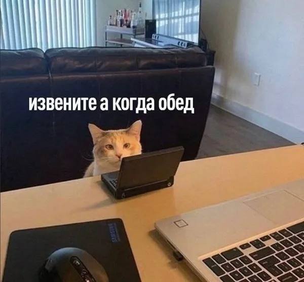 Начальник обязан заплатить сотруднику за пропущенный обед, — юристы Если работник пропустил обед из-за рабочих задач, это считается переработкой, а значит, работодатель должен компенсировать это время как сверхурочную работу — с оплатой в 1,5–2 раза выше обычной ставки.