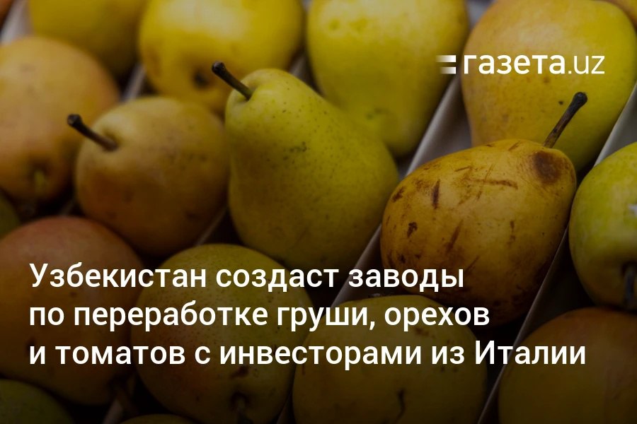 В Узбекистане планируют открыть заводы по выращиванию и переработке груш, грецких орехов и томатов при поддержке инвесторов из Италии. Также обсуждается строительство завода по производству макарон из твёрдых сортов пшеницы, а также экспериментальное выращивание киви в Сырдарье совместно с Японией.     Telegram     Instagram     YouTube