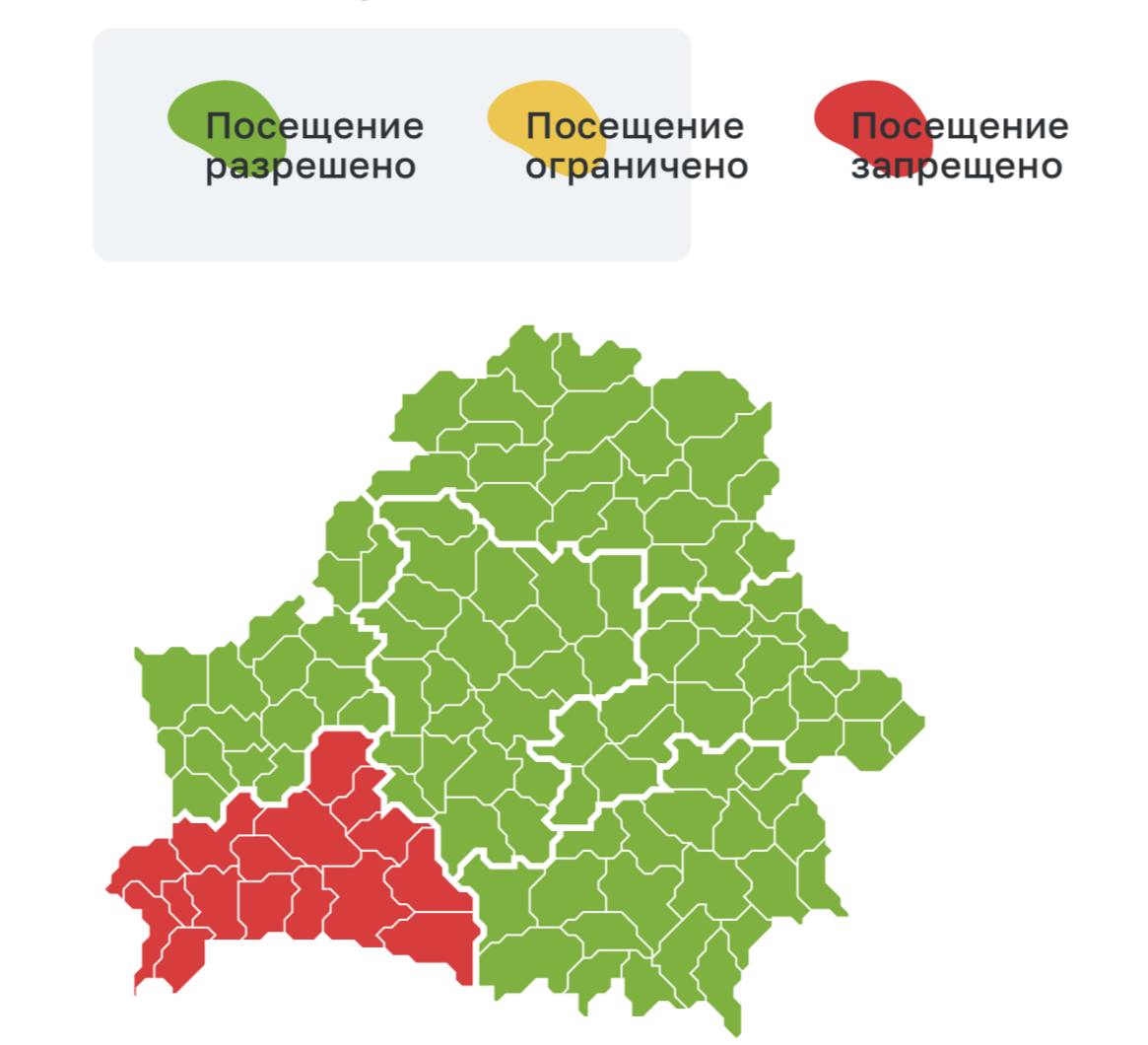 Запрет на посещение лесов введен во всей Брестской области